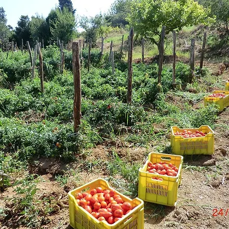 Farma Tenuta Mauri - Vota *